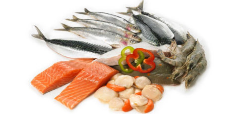 cat_seafood