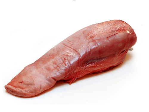 exotic_tongue